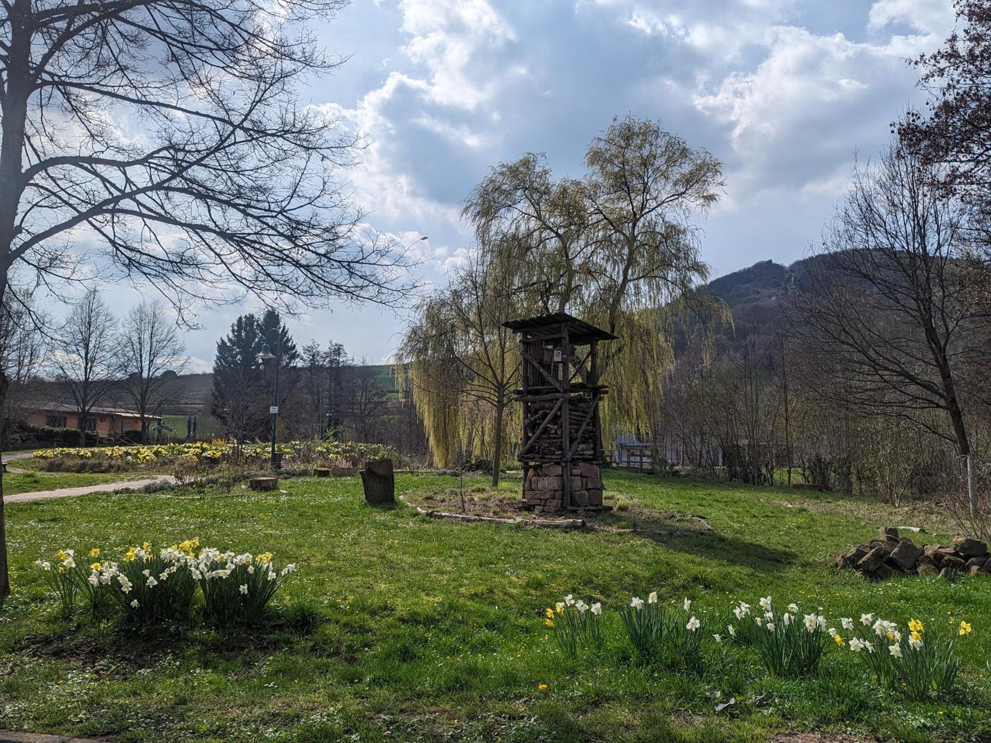 Klingenmünster Ferienhaus Am Park מראה חיצוני תמונה