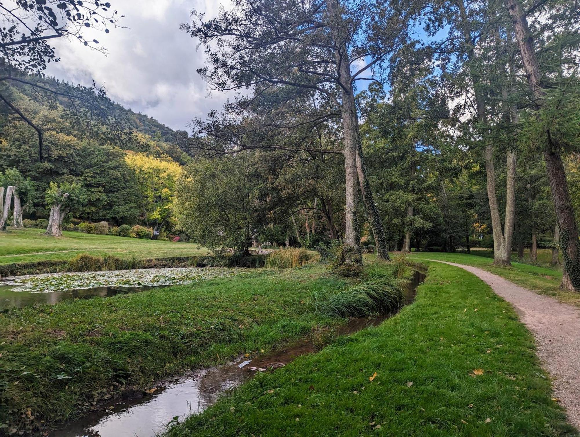 Klingenmünster Ferienhaus Am Park מראה חיצוני תמונה